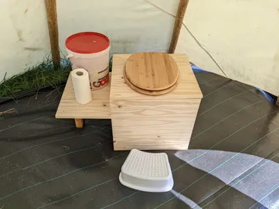 Photo des herbes folles qui poussent dans un coin du terrain