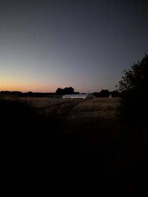 Photo de la serre de nuit